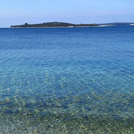 Renata Πούλα